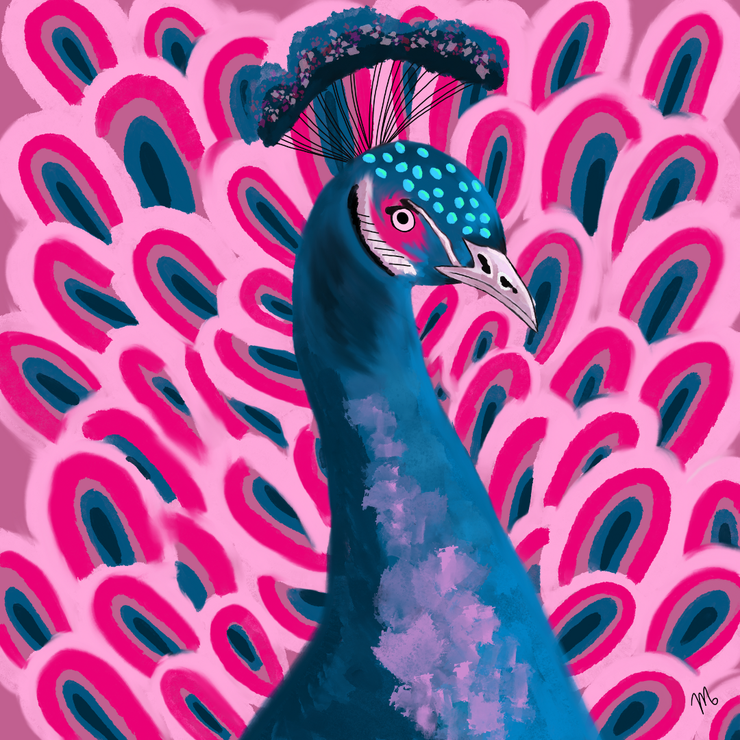 Peacock Scarf -100% Silk